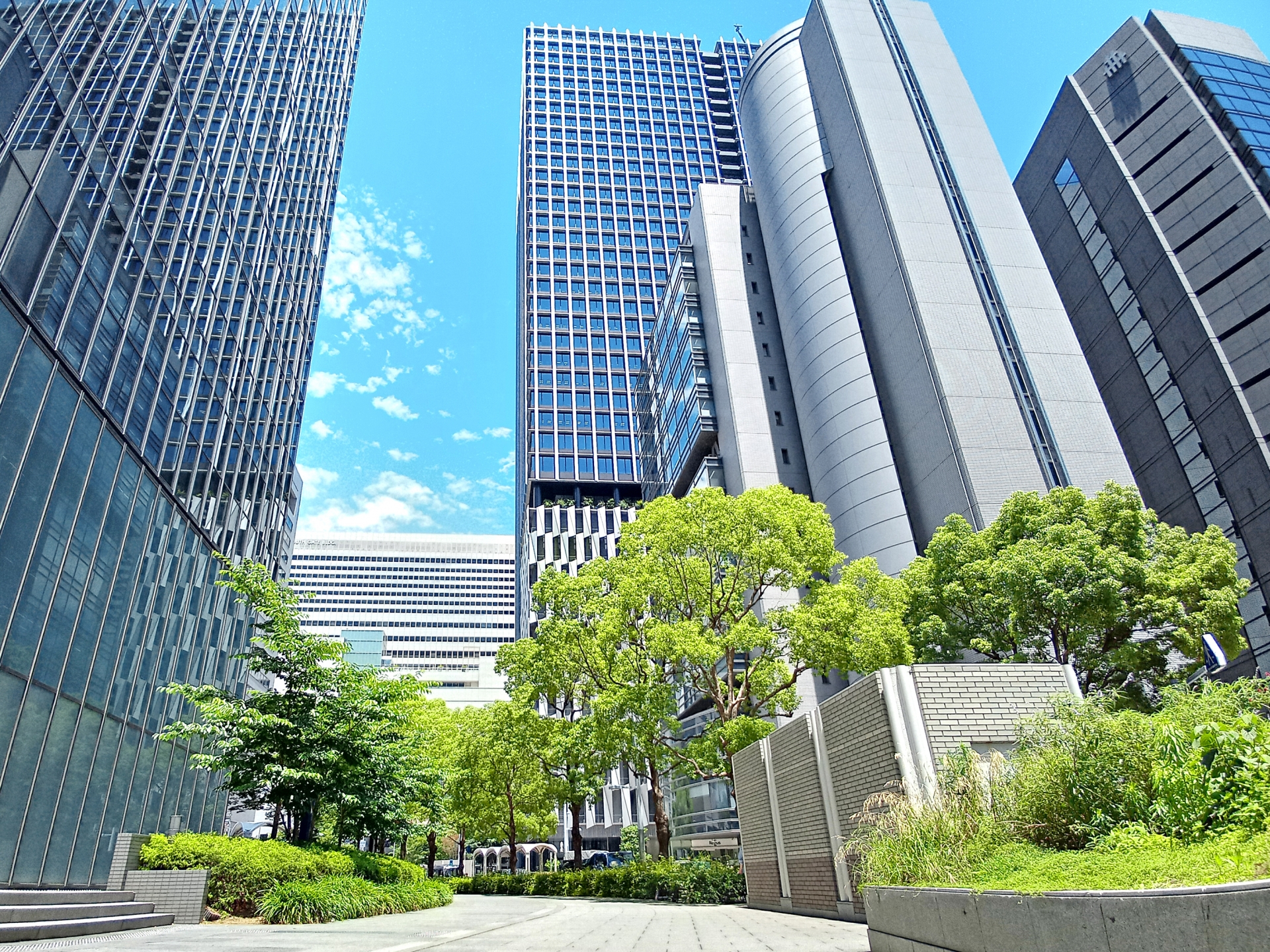 大阪特区民泊の完全ガイド|許可取得から運営まで徹底解説