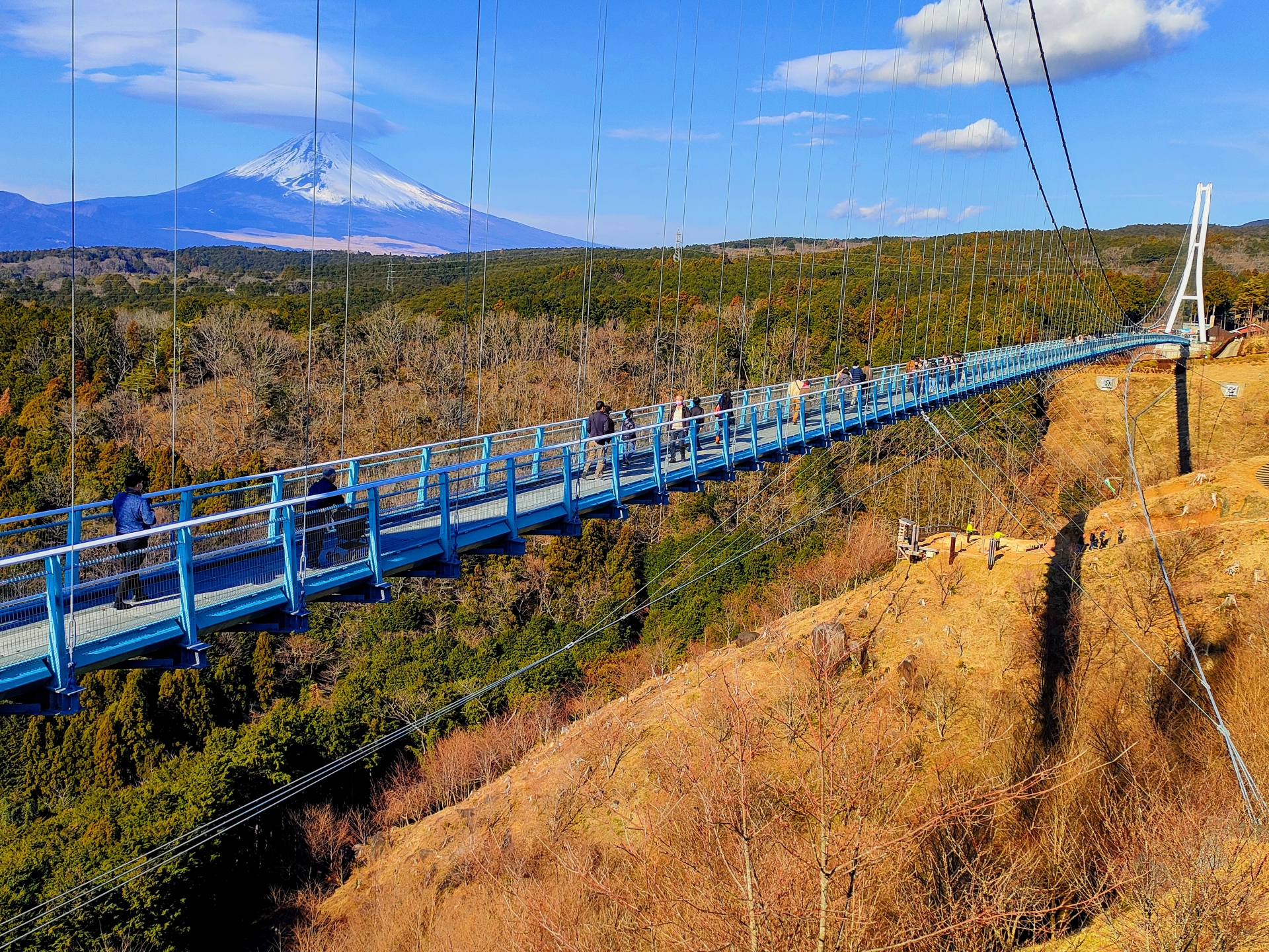 三島で民泊を始める完全ガイド|許可取得から運営まで徹底解説