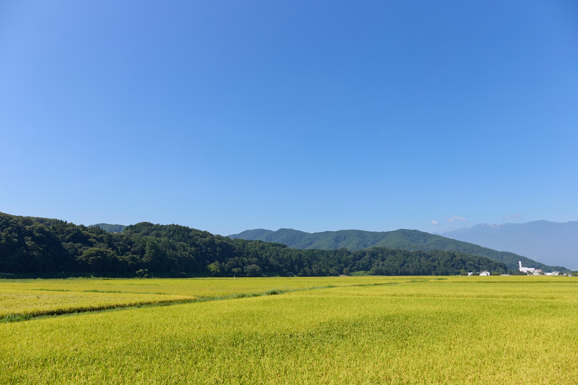 伊那市の民泊代行サービス完全ガイド|選び方から費用まで徹底解説