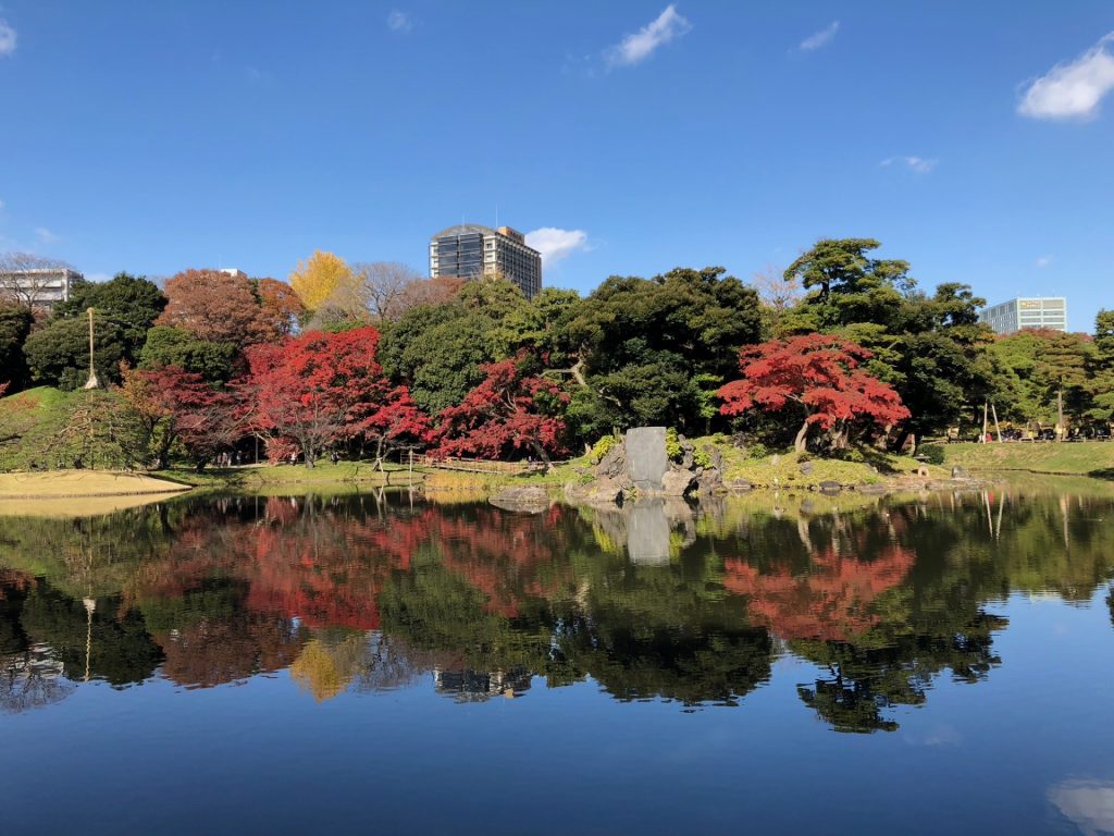 文京区で民泊はできる?条例・営業日数・許可申請を解説