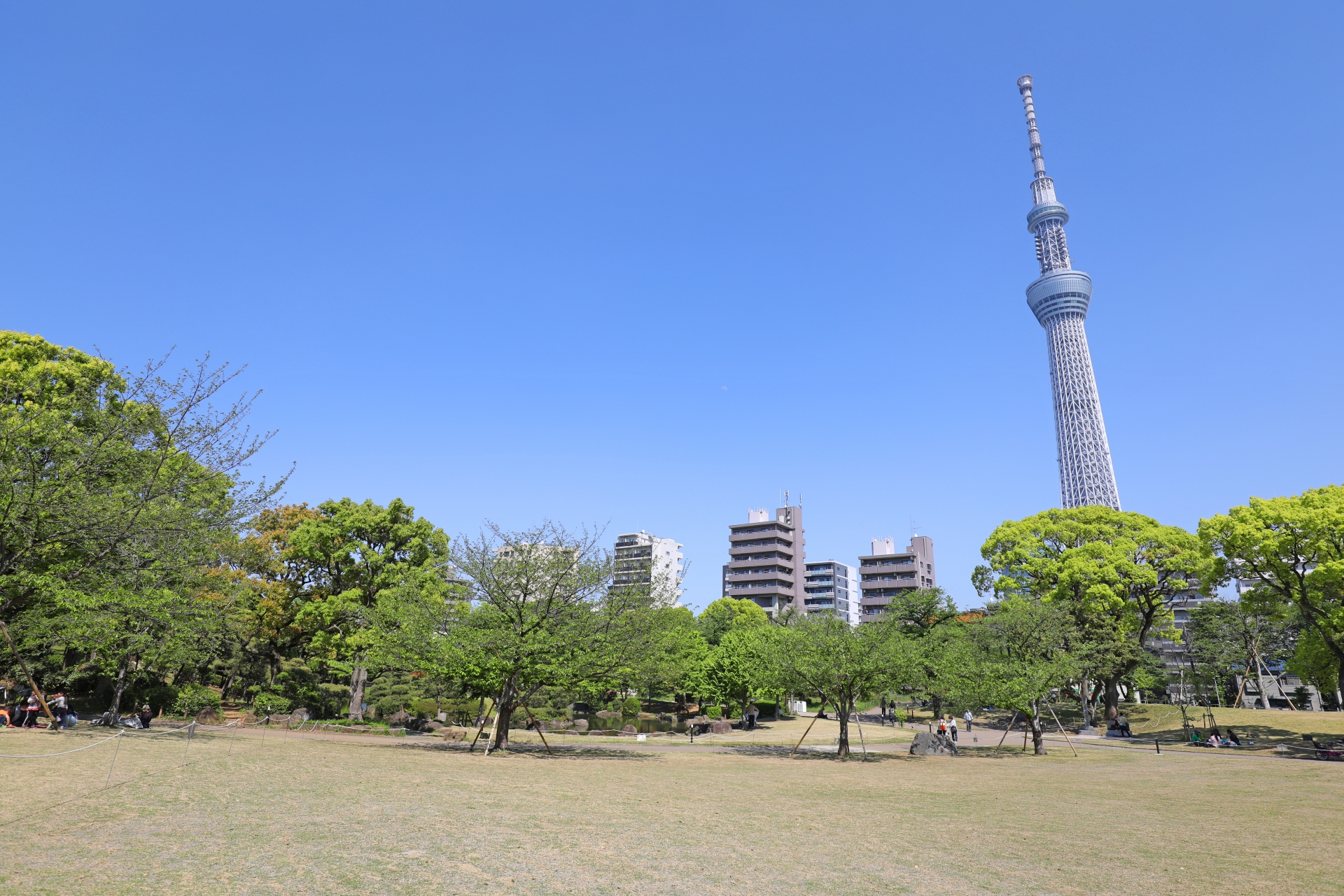 墨田区で民泊運営を任せるなら？おすすめ代行会社5選