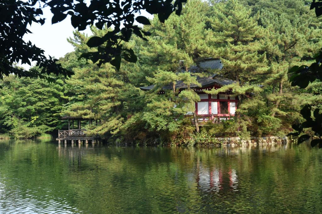 練馬区の民泊需要とおすすめエリア